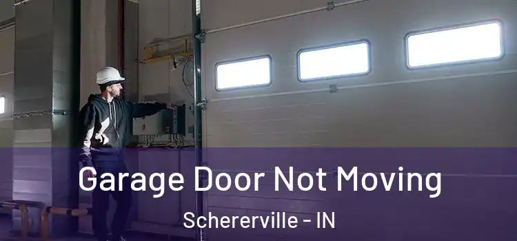  Garage Door Not Moving Schererville - IN