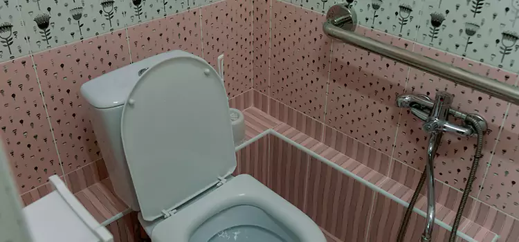 Meeting Diverse Needs With Accessible Restroom Solutions in Schererville, IN